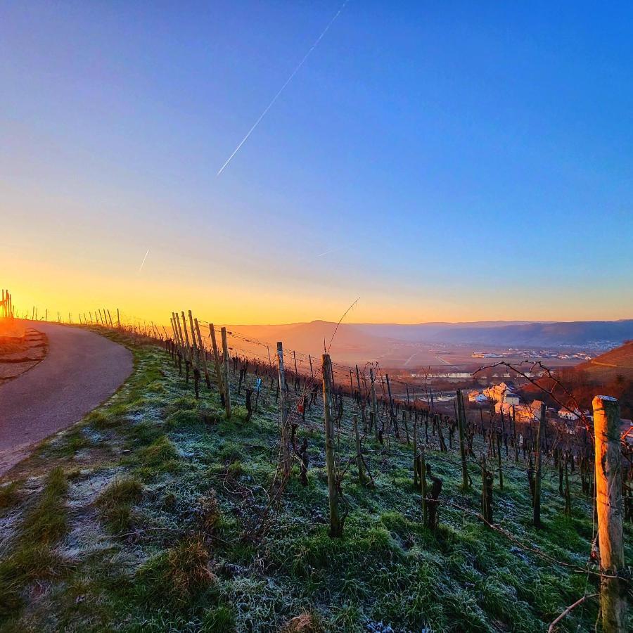 Ferienwohnung An Der Mosel コンツ エクステリア 写真